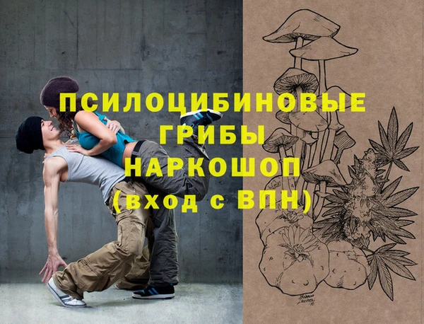 МДПВ Лихославль