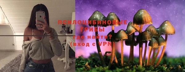 МДПВ Лихославль