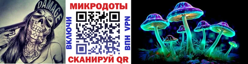 Псилоцибиновые грибы Psilocybine cubensis МЕГА ССЫЛКА Чита цена