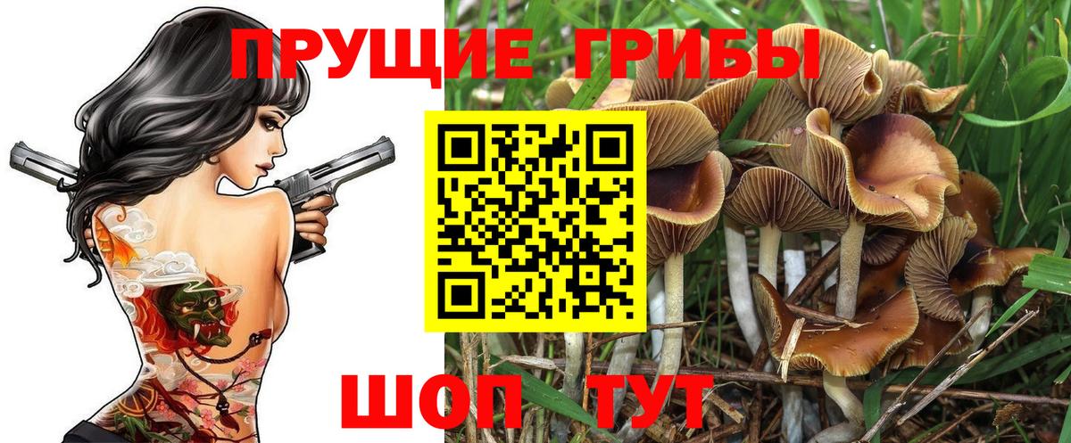 магазин продажи наркотиков  Галлюциногенные грибы ЛСД  Вход с VPN  Чита 